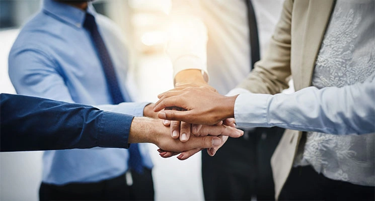 Dedicated Partner for Your Success