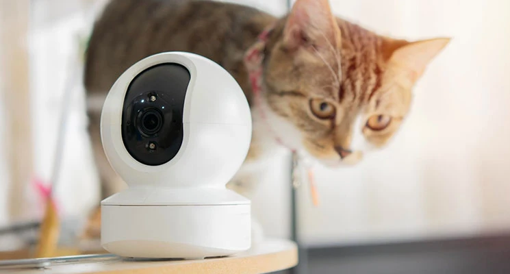 Secure Edge Devices in Smart Home and IoT Ecosystems